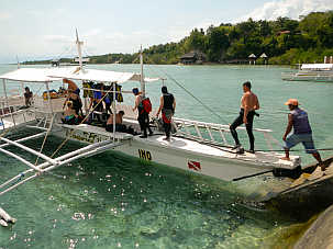 Schlangen im Paradies